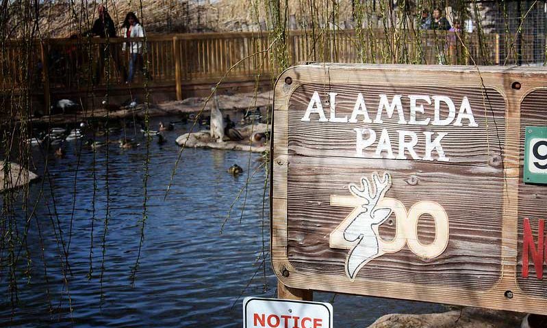 Alameda-Park-Zoo